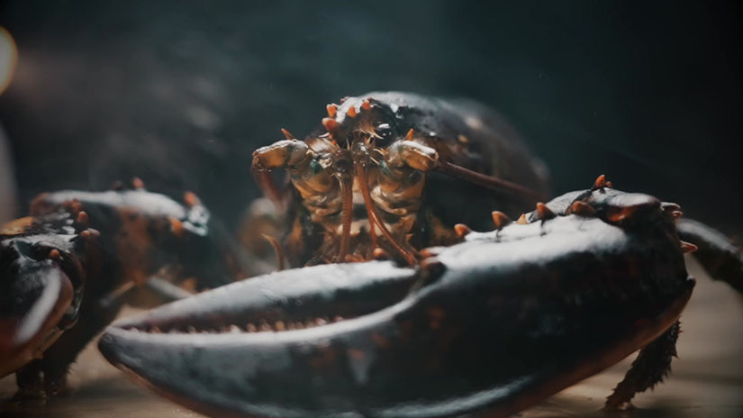 Sea Food Restaurant Promo
